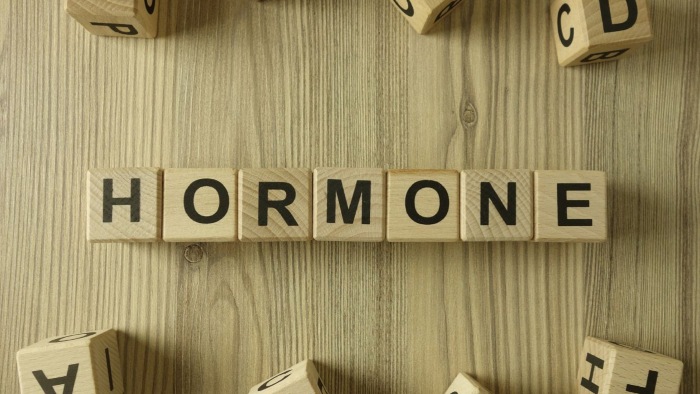 Screenshot of the demo website