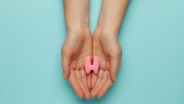 Screenshot of the demo website